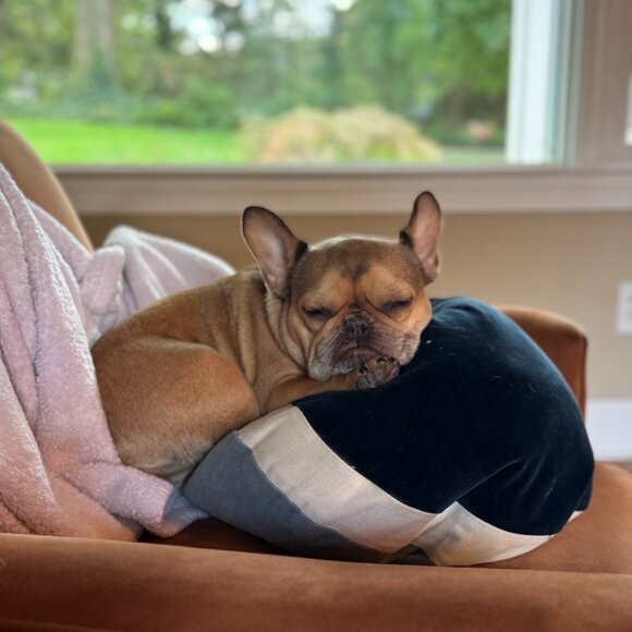 Meet your Posher, Angella - Picture 11 of 15